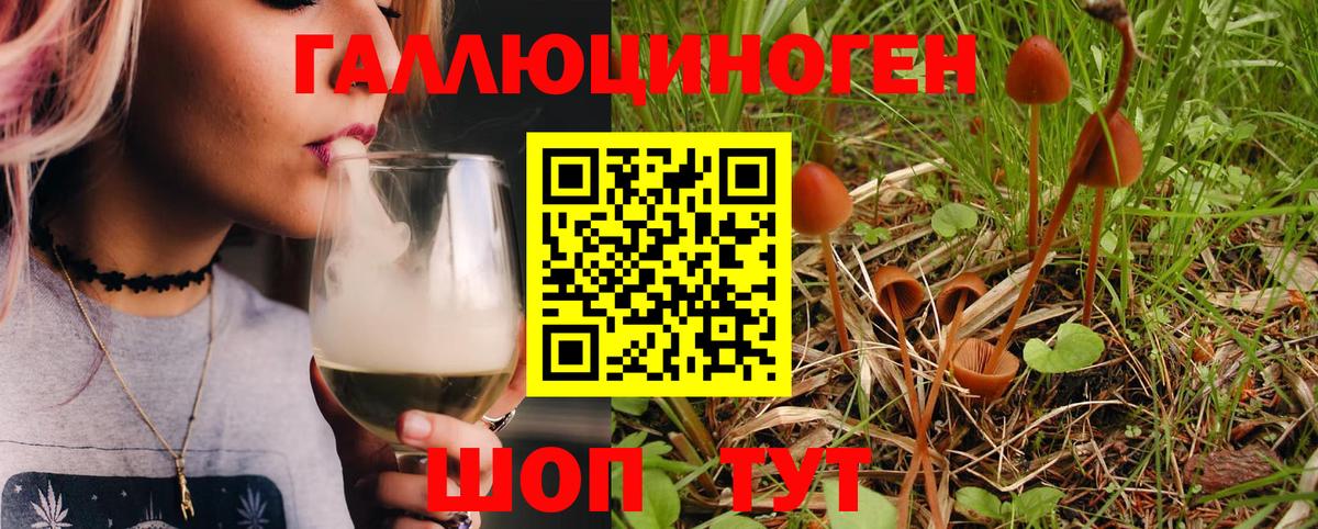 Галлюциногенные грибы GOLDEN TEACHER Великие Луки