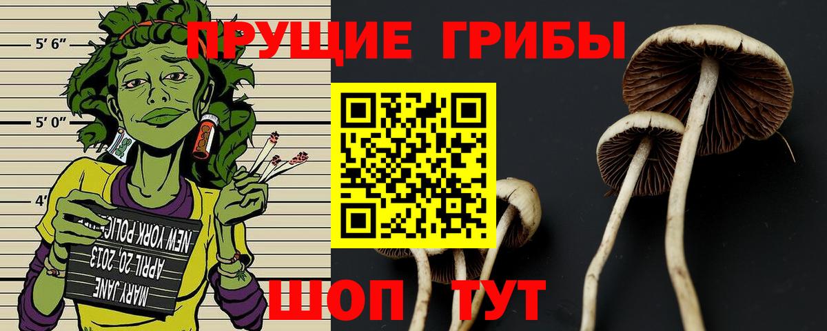 Псилоцибиновые грибы мухоморы  Псилоцибиновые грибы Psilocybine cubensis  Вход с VPN  Великие Луки 